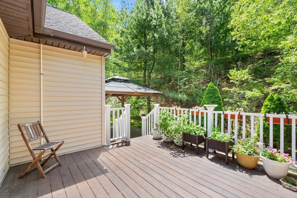 25 Dexter Rd