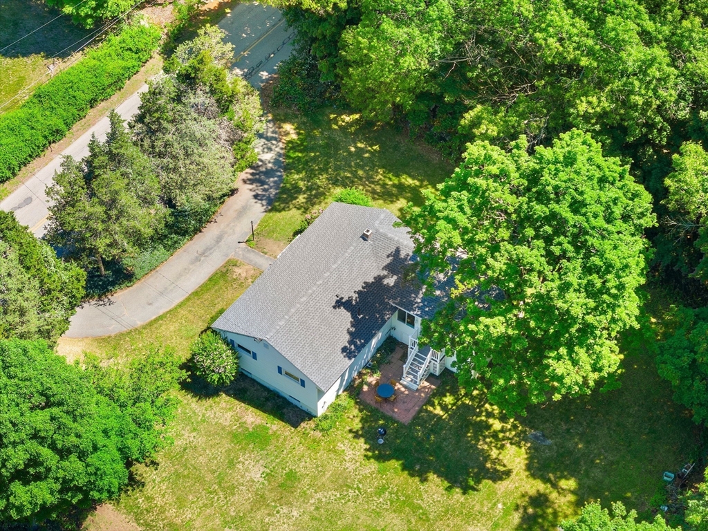 75 Proctor Road