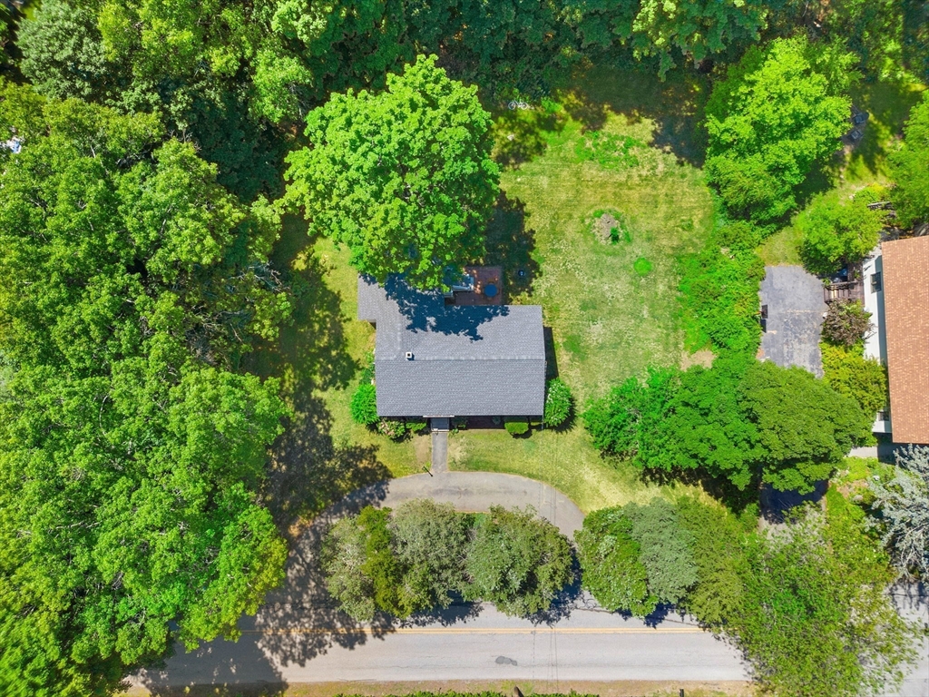 75 Proctor Road