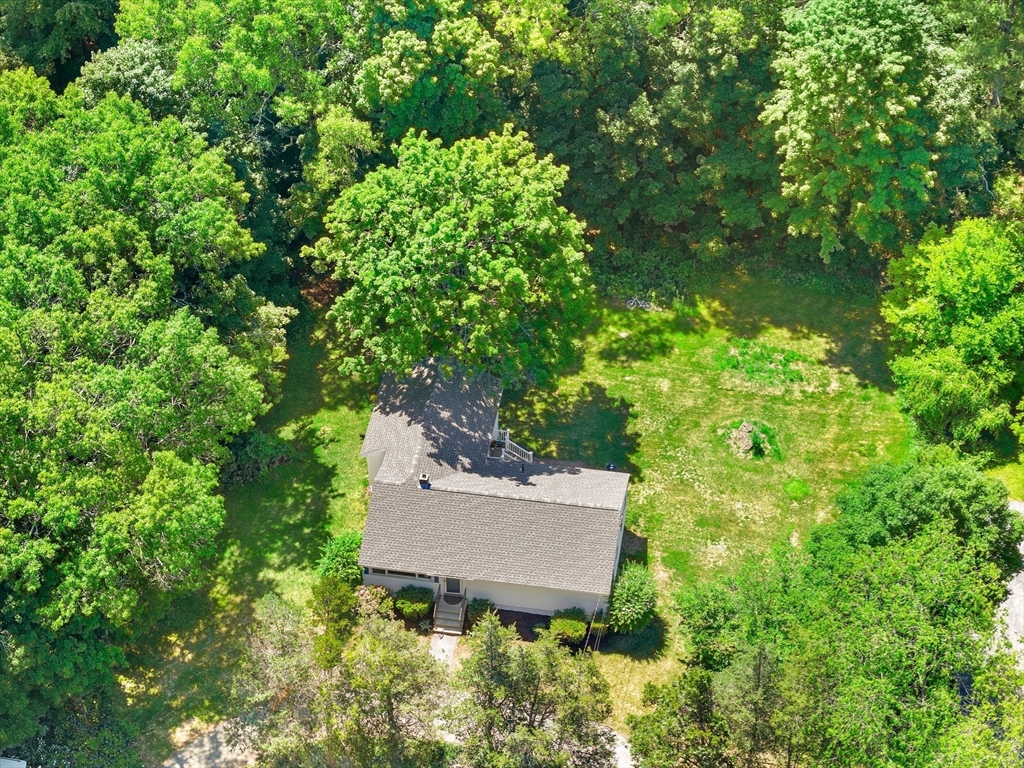 75 Proctor Road