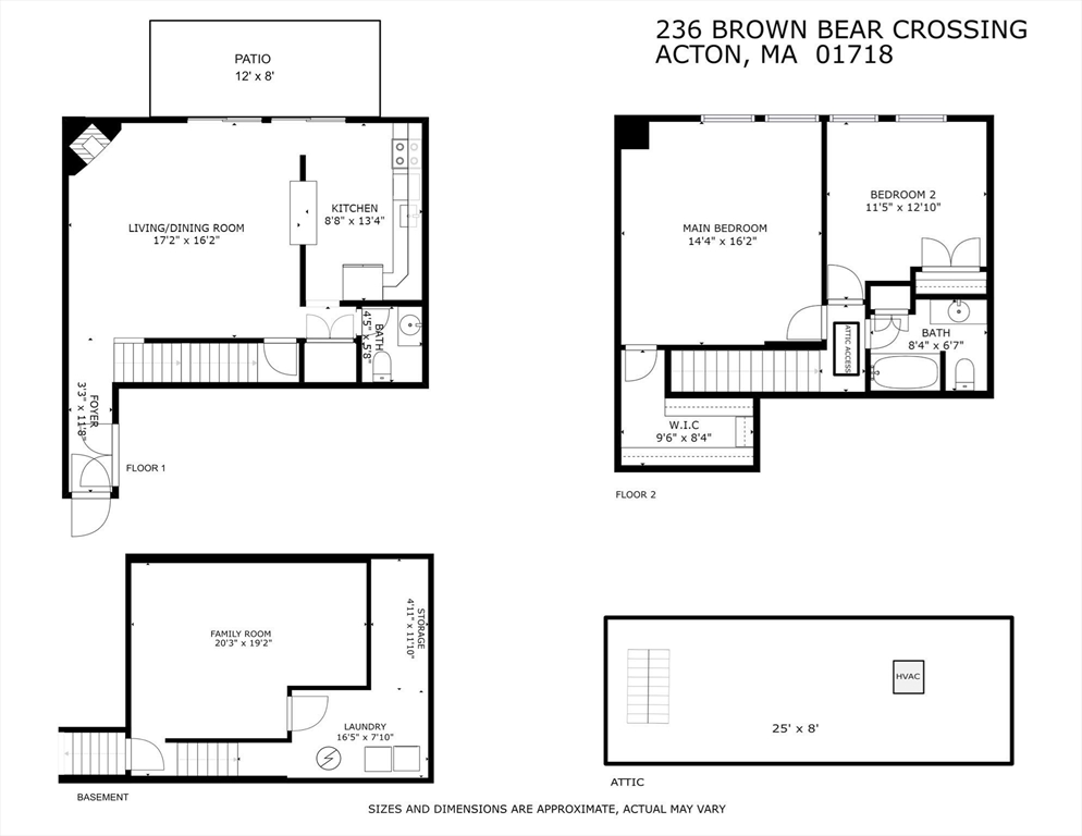 236 Brown Bear Xing # 236