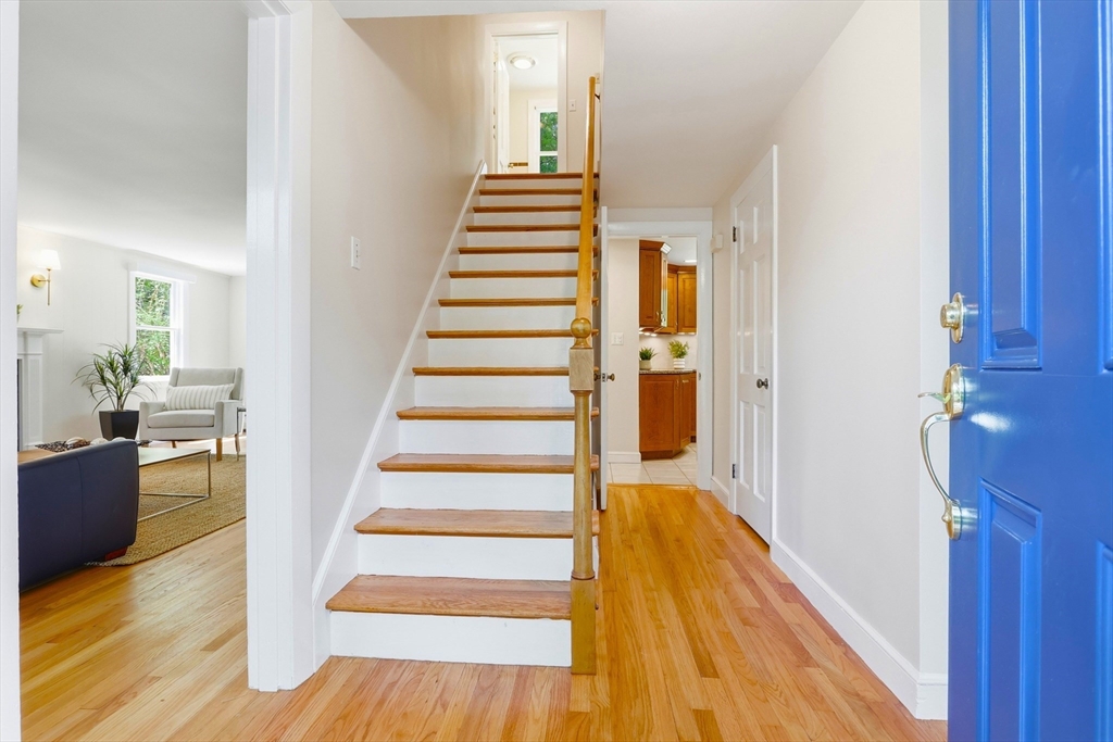 81 Alcott St