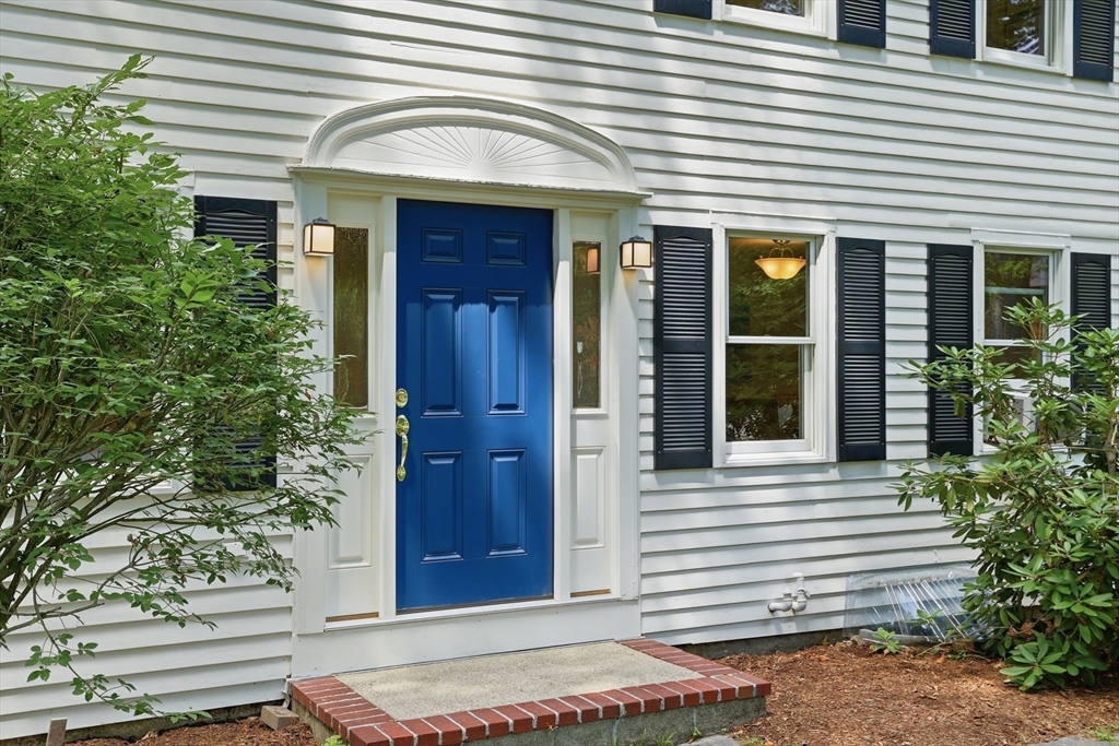 81 Alcott St