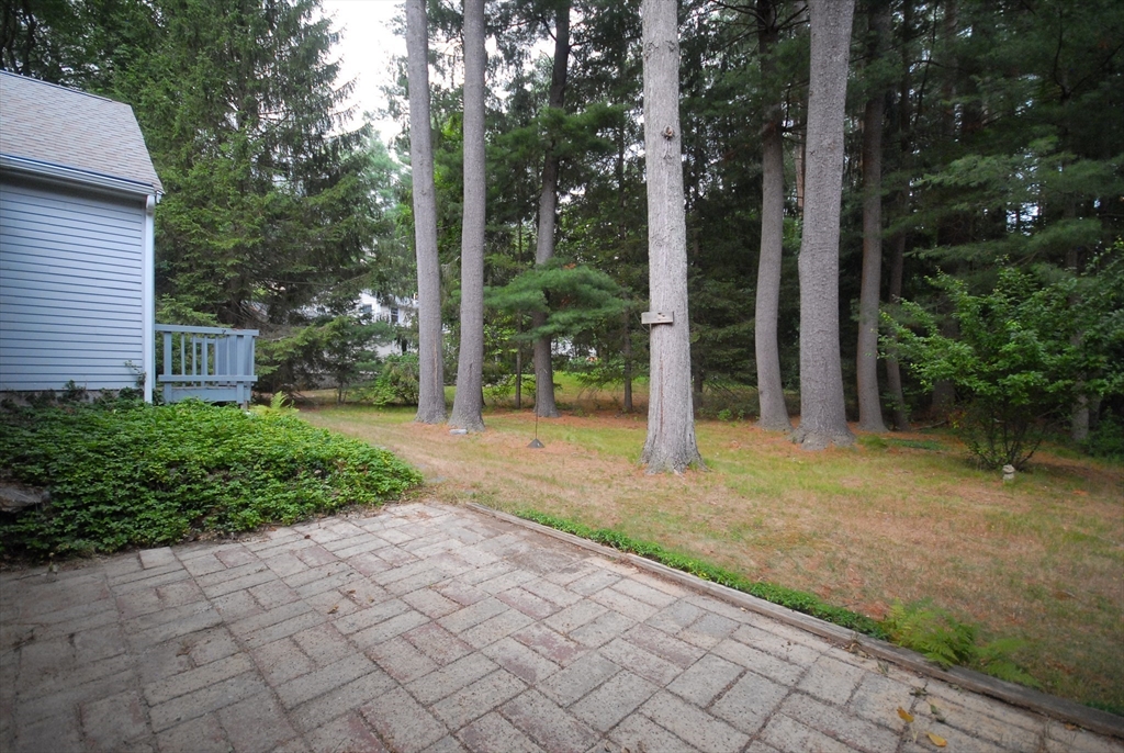 6 Hosmer Street