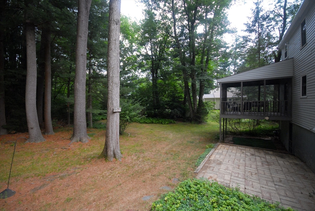 6 Hosmer Street