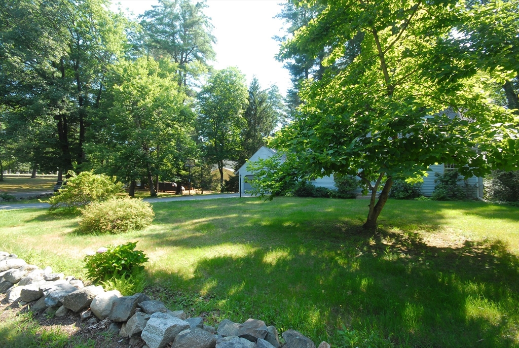 6 Hosmer Street