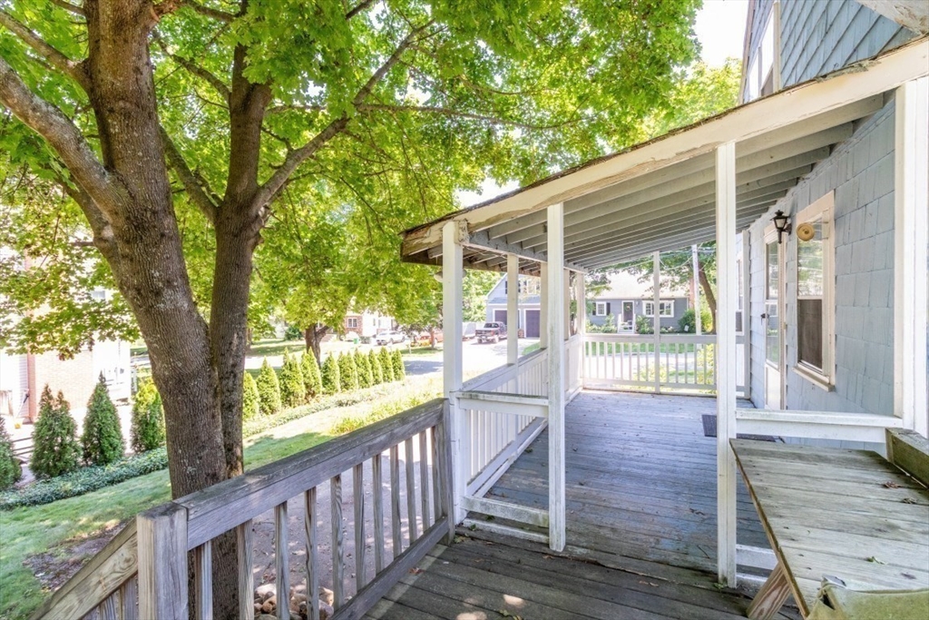 46 Conlyn Avenue
