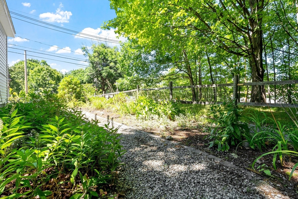 6 Whitcomb Ave