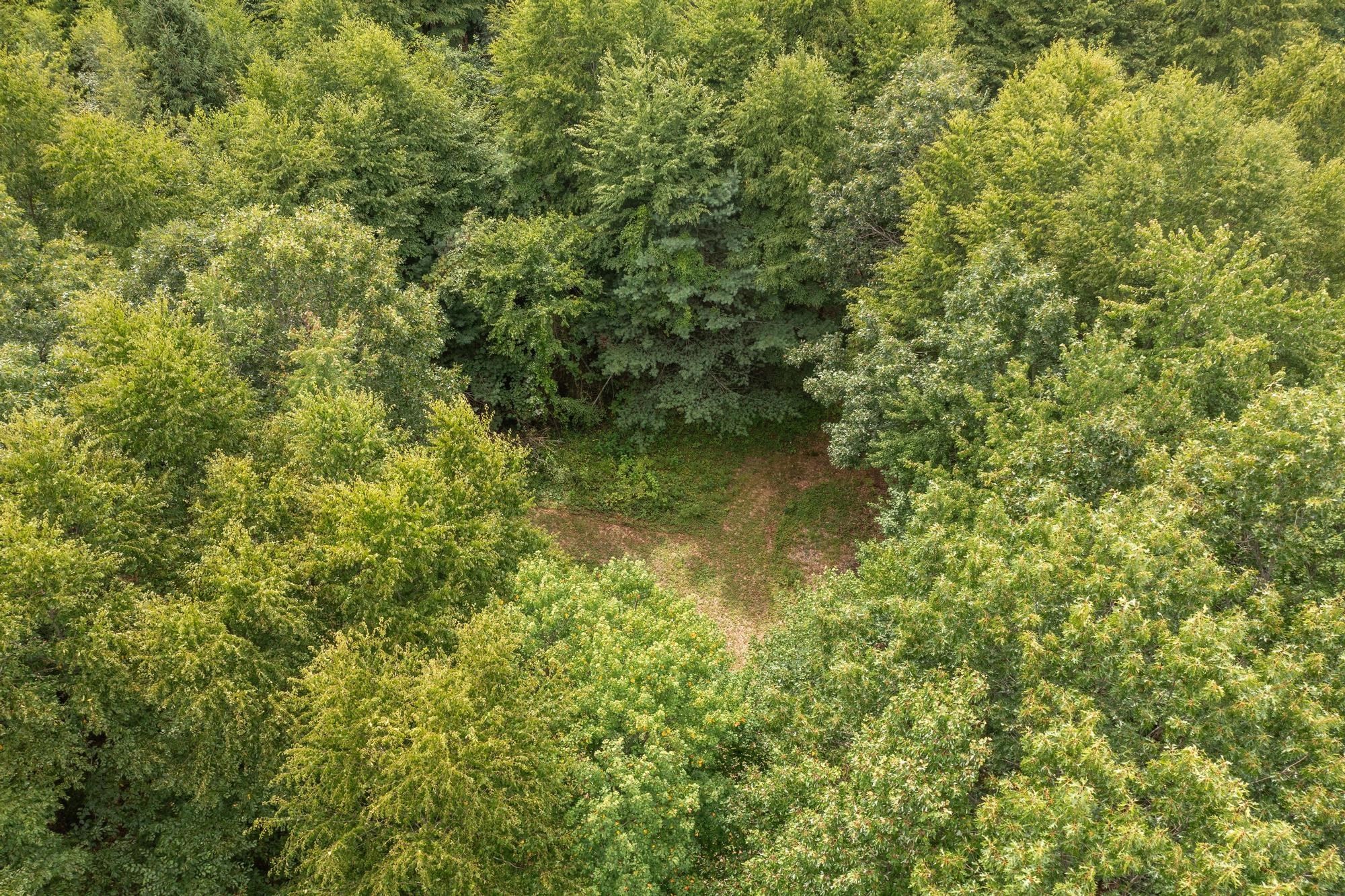 276 Middle Rd
