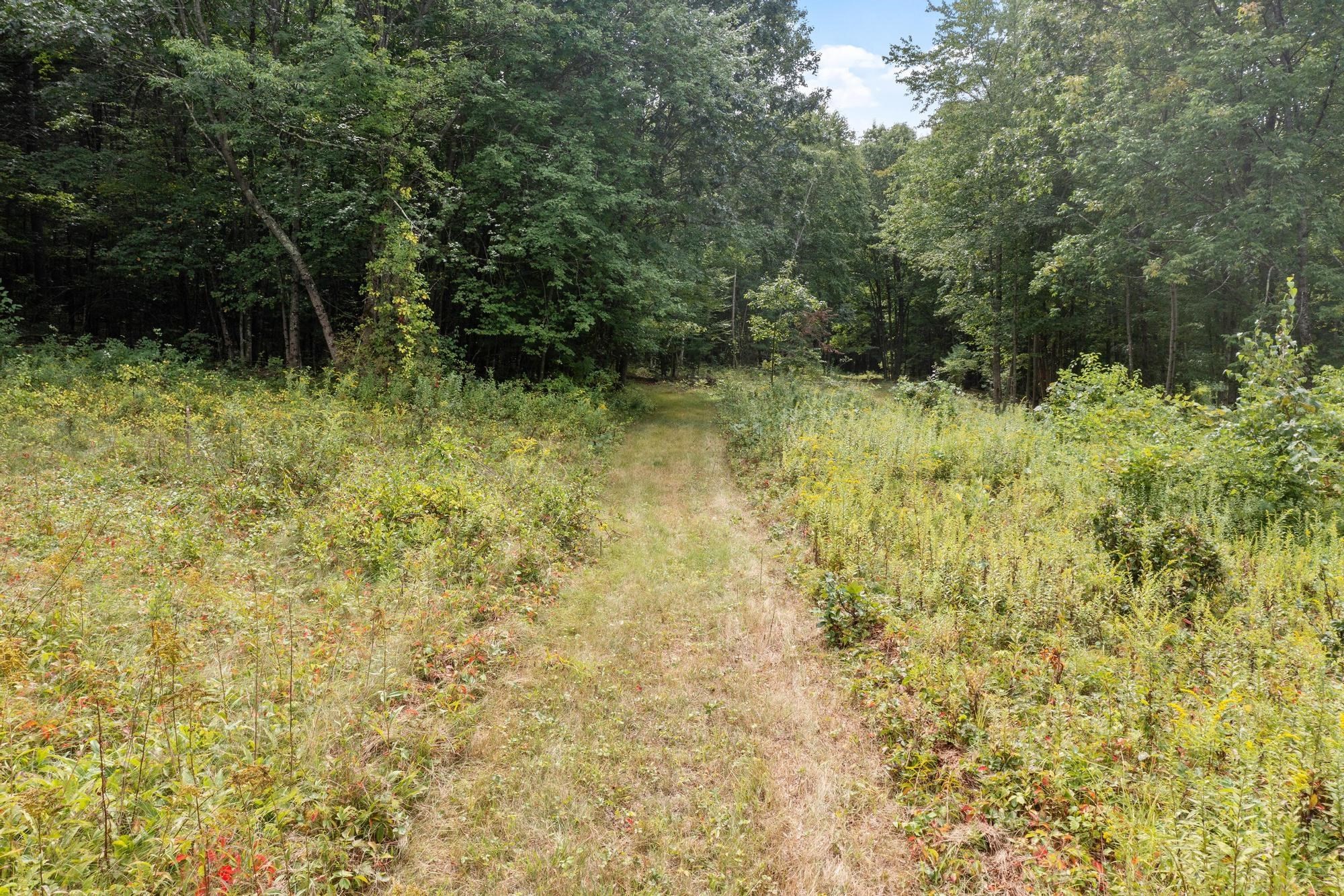 276 Middle Rd