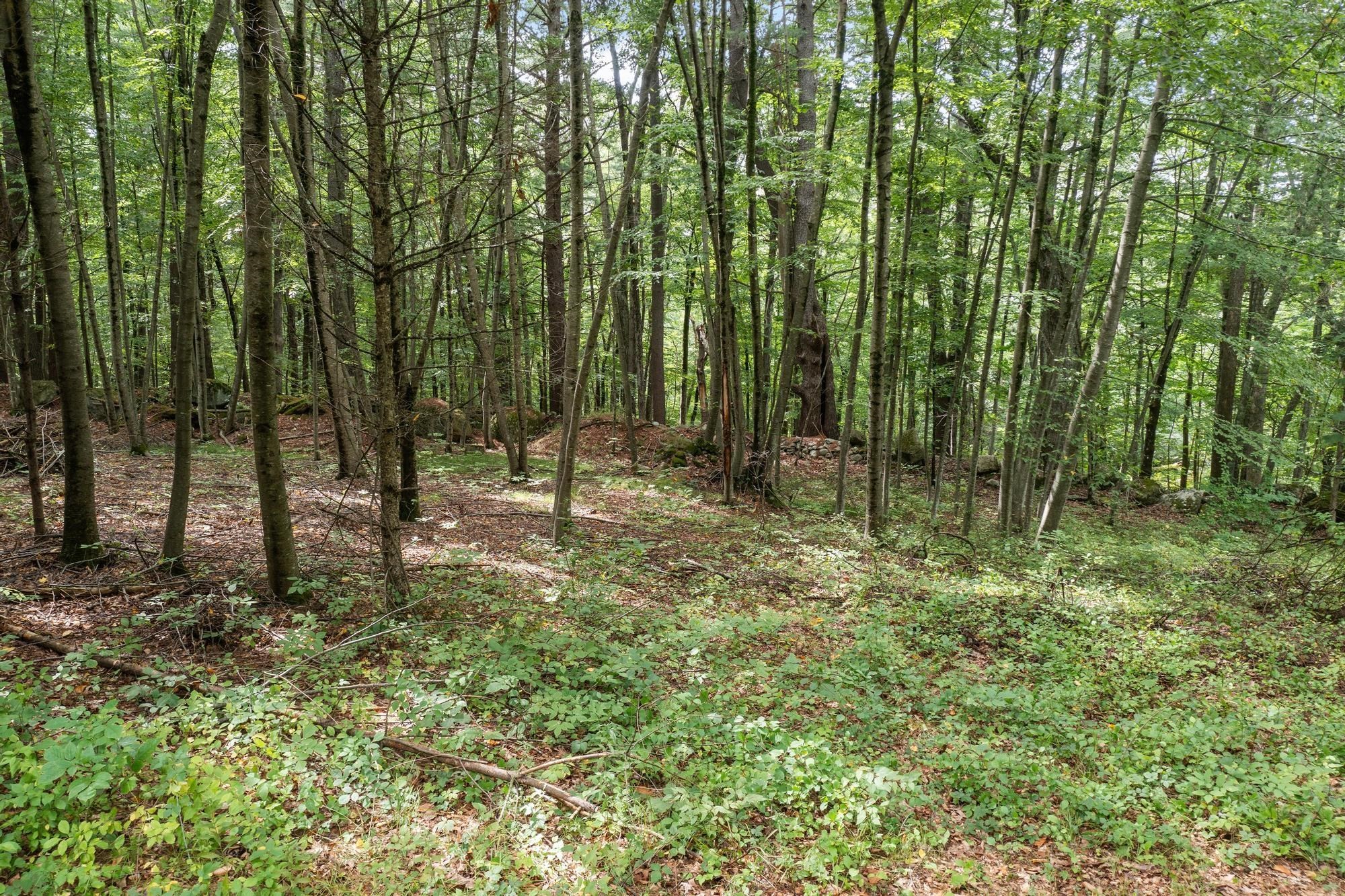 276 Middle Rd