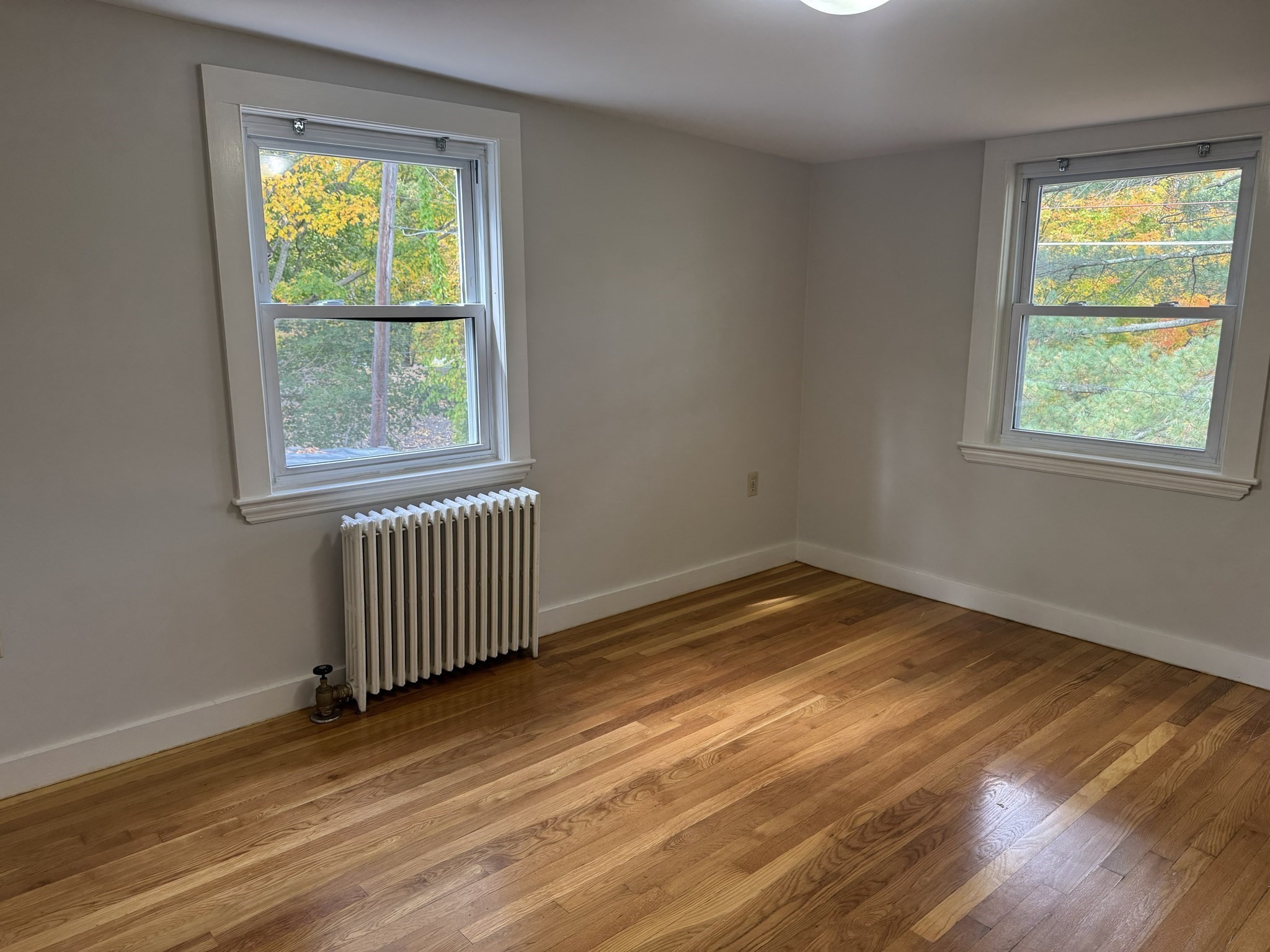 58 Spruce St # 58