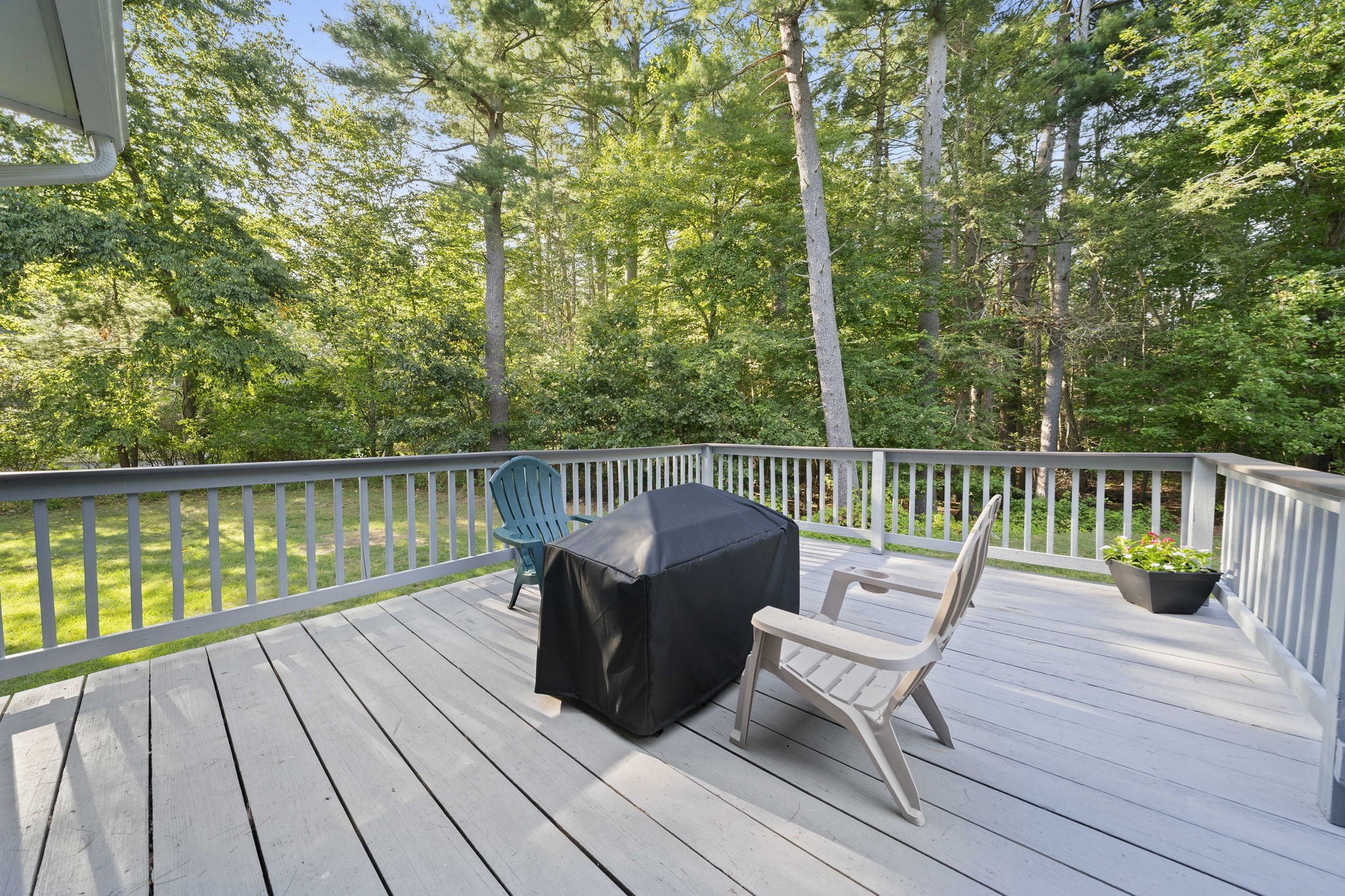 44 Pine Island Rd