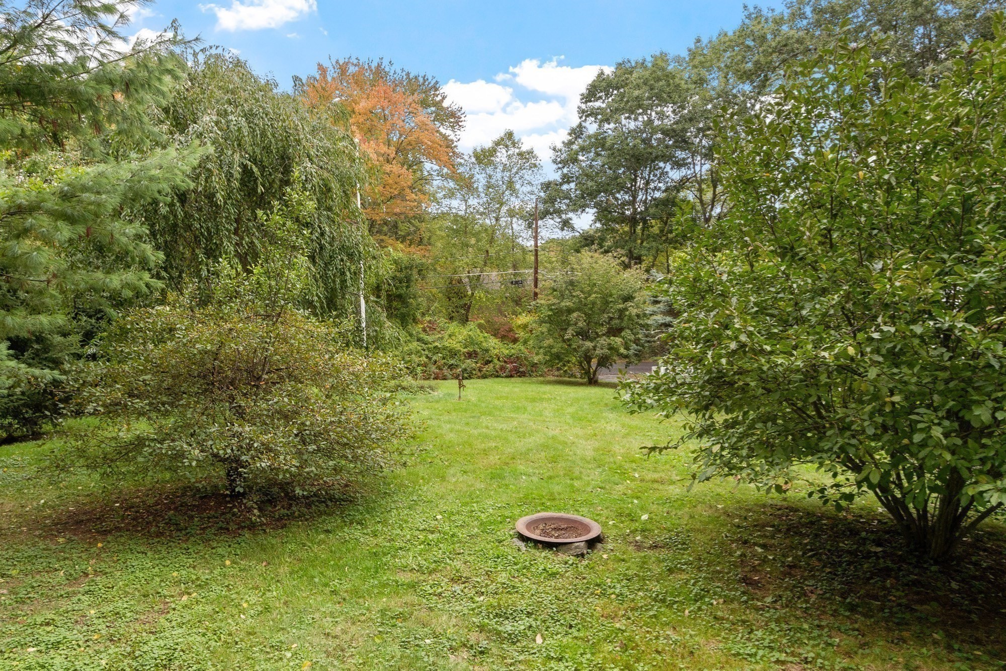 74 Davidson Rd
