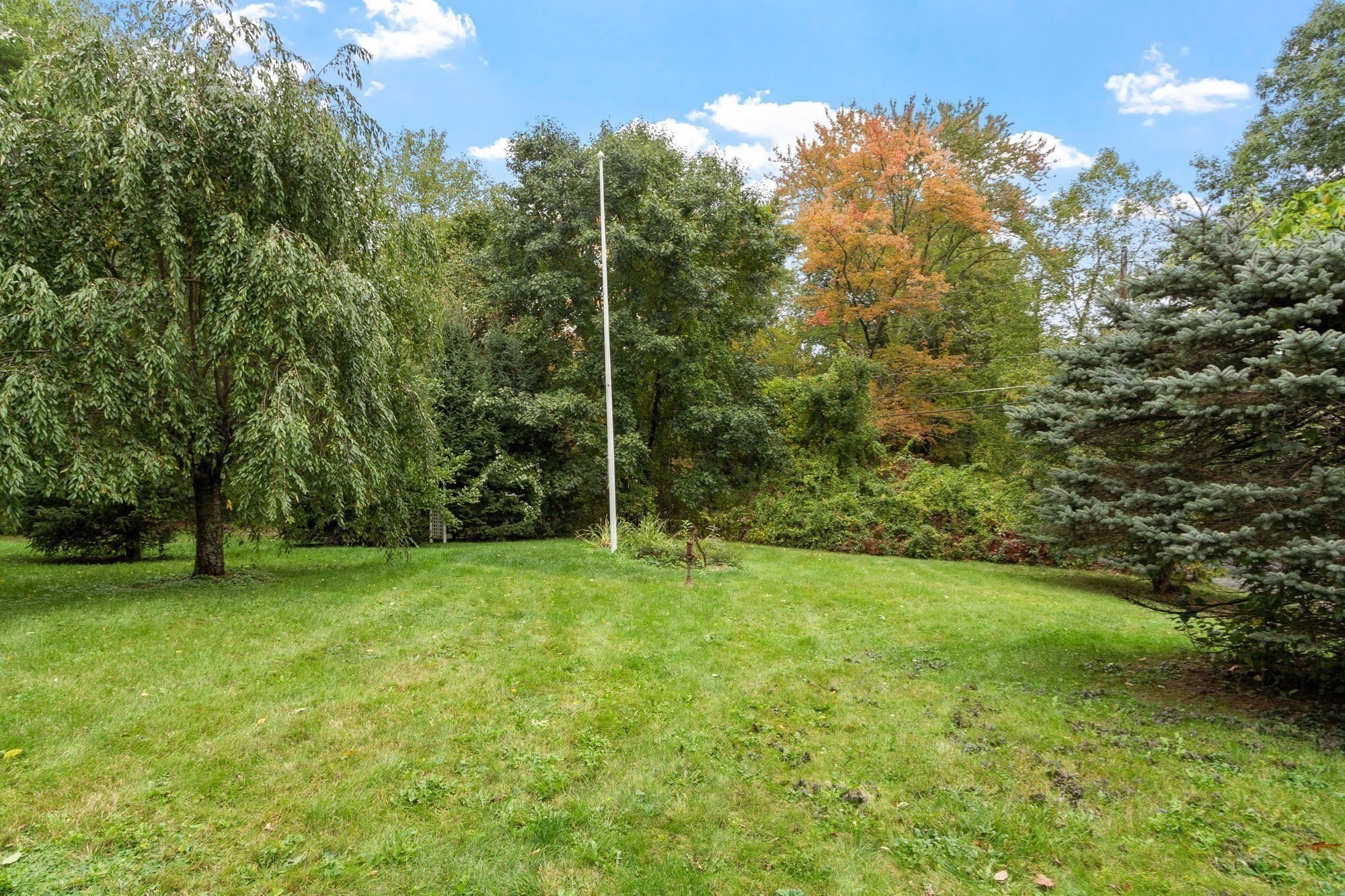74 Davidson Rd