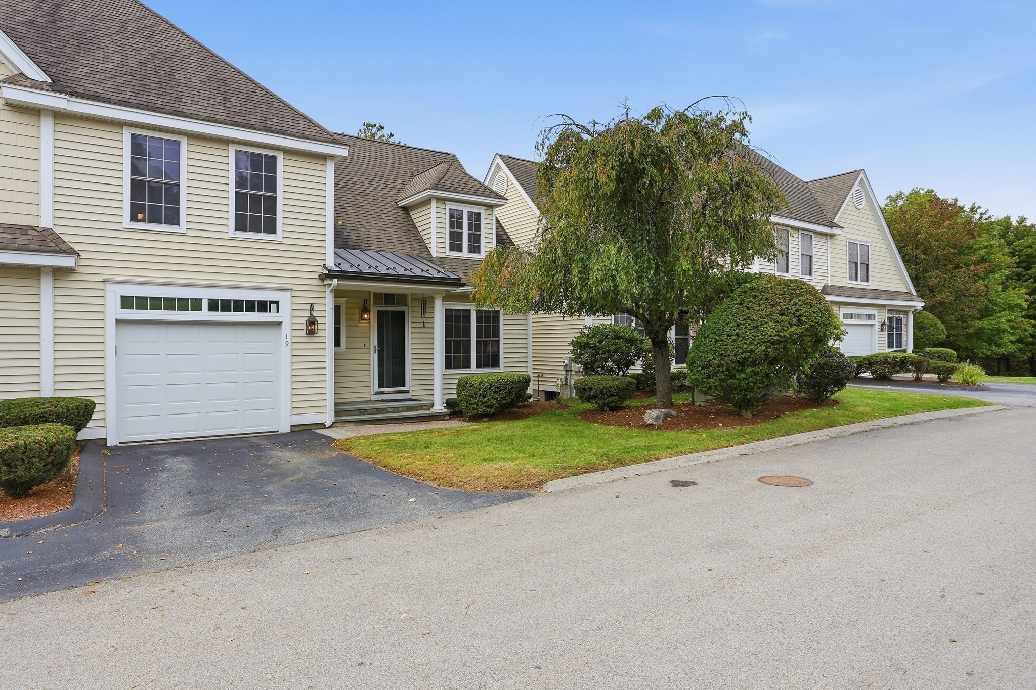 19 Meyer Hill # 19
