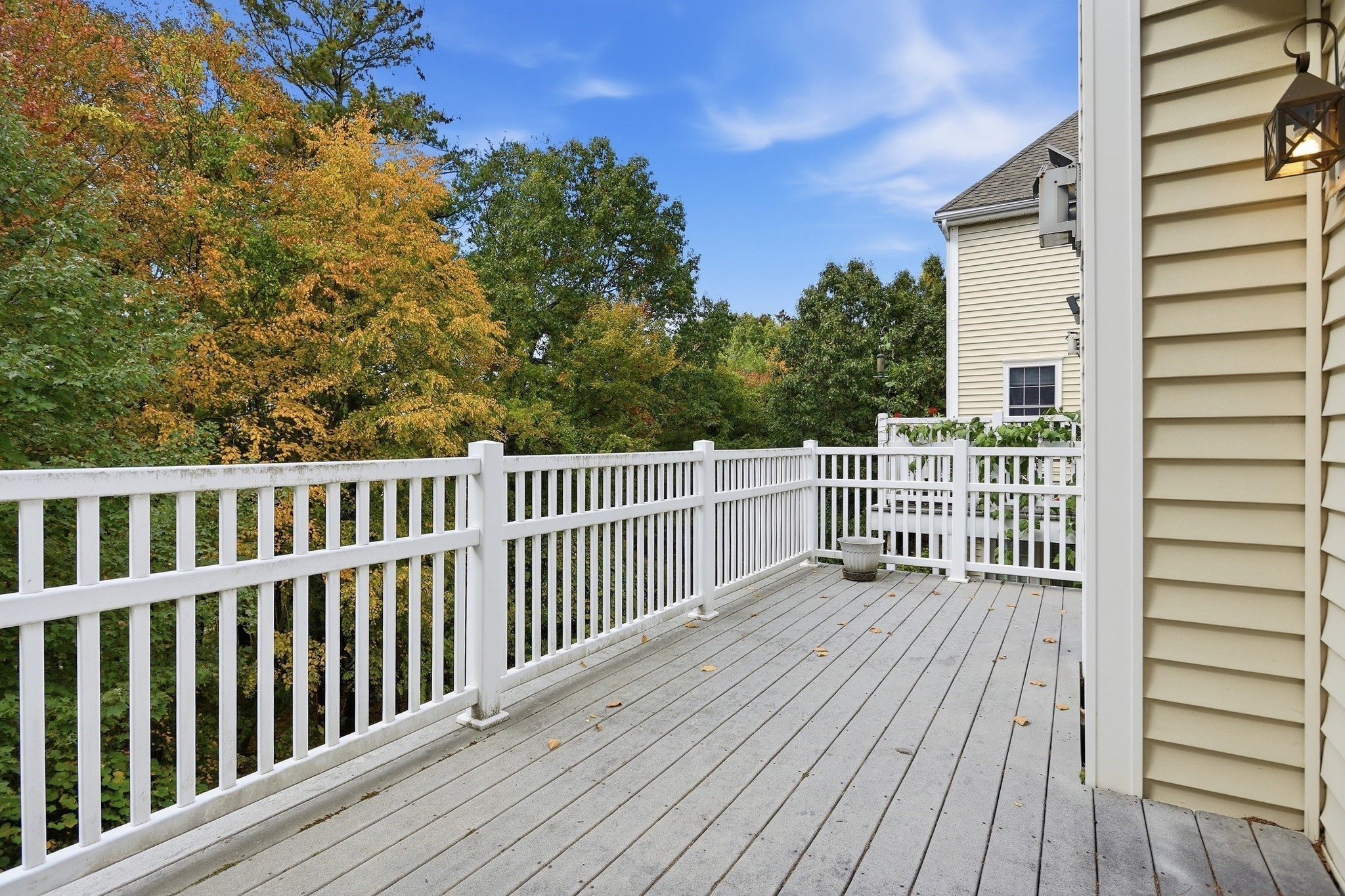 19 Meyer Hill # 19
