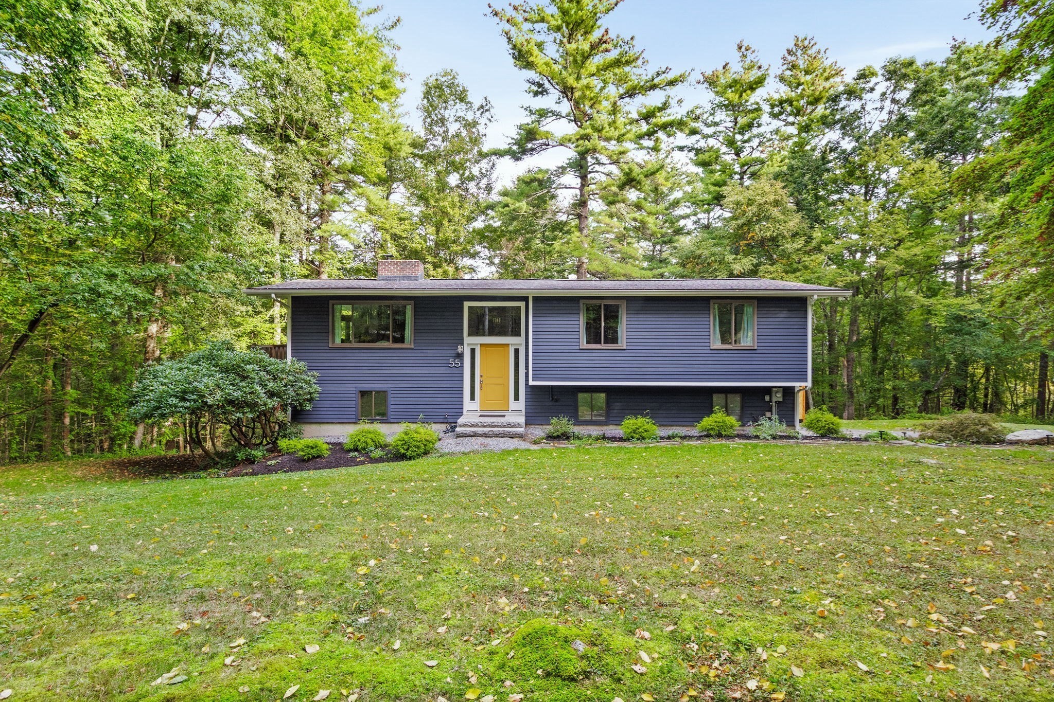 Blue split-level house with a yellow front door, set among trees beside a broad lawn.