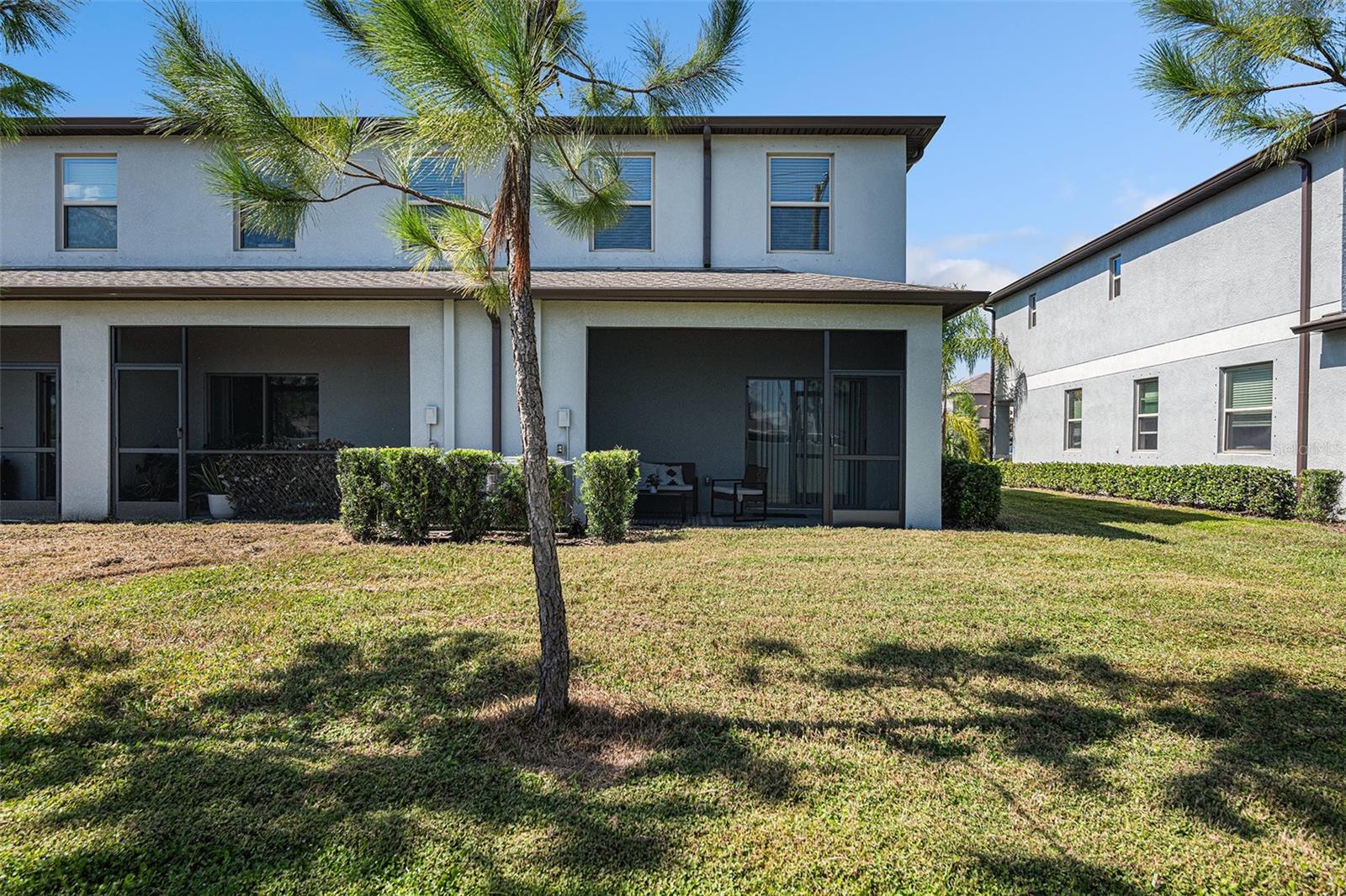 4435 GLOBE THISTLE DR