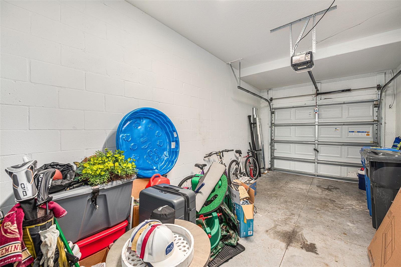 4435 GLOBE THISTLE DR