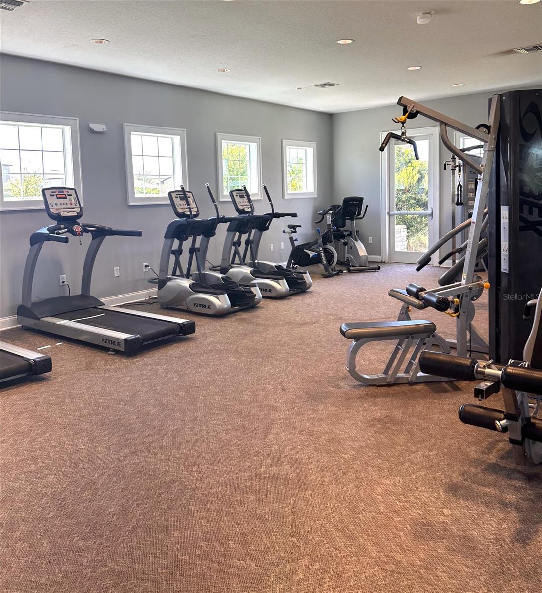 4435 GLOBE THISTLE DR