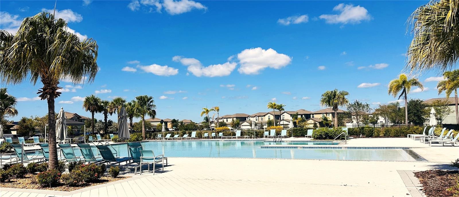 4435 GLOBE THISTLE DR