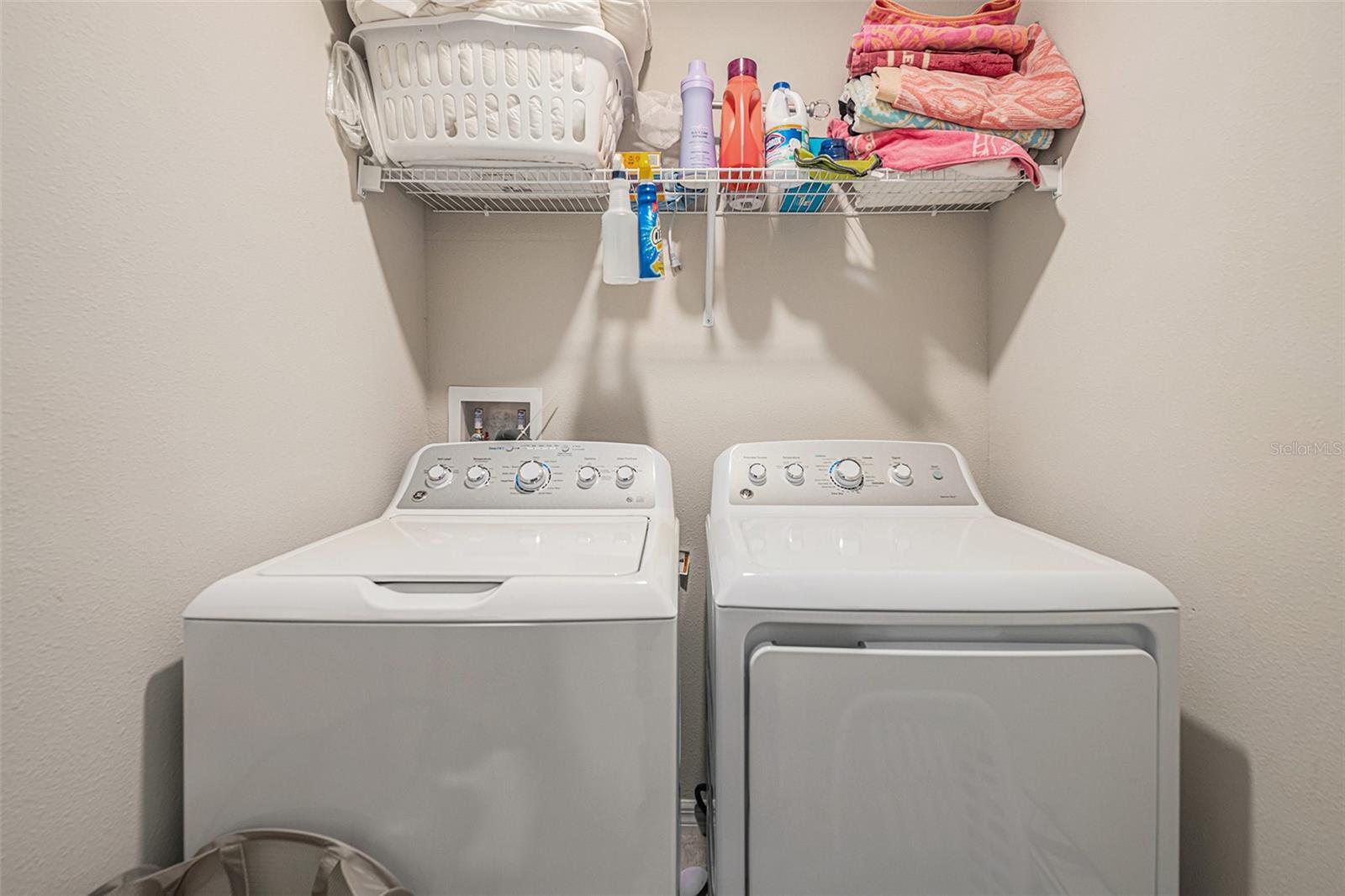 4435 GLOBE THISTLE DR