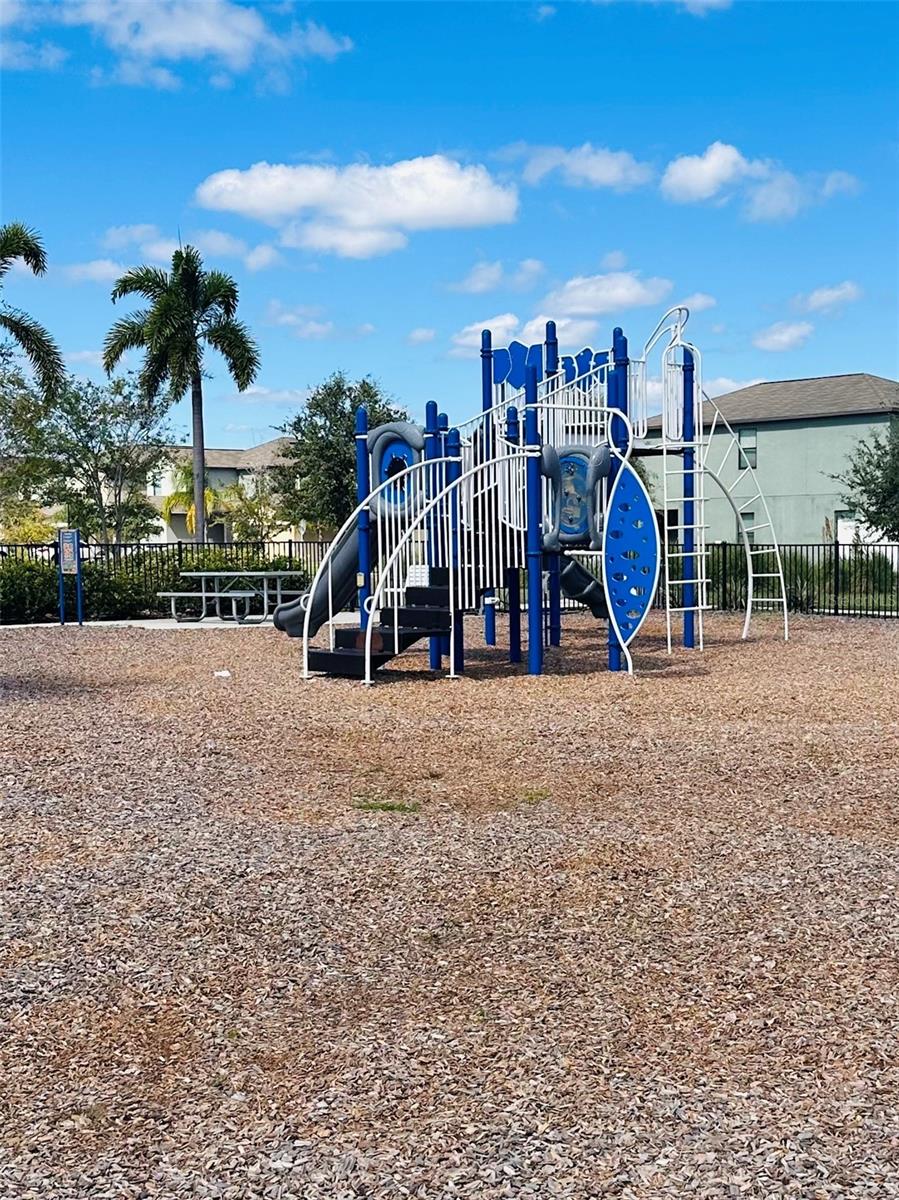 4435 GLOBE THISTLE DR