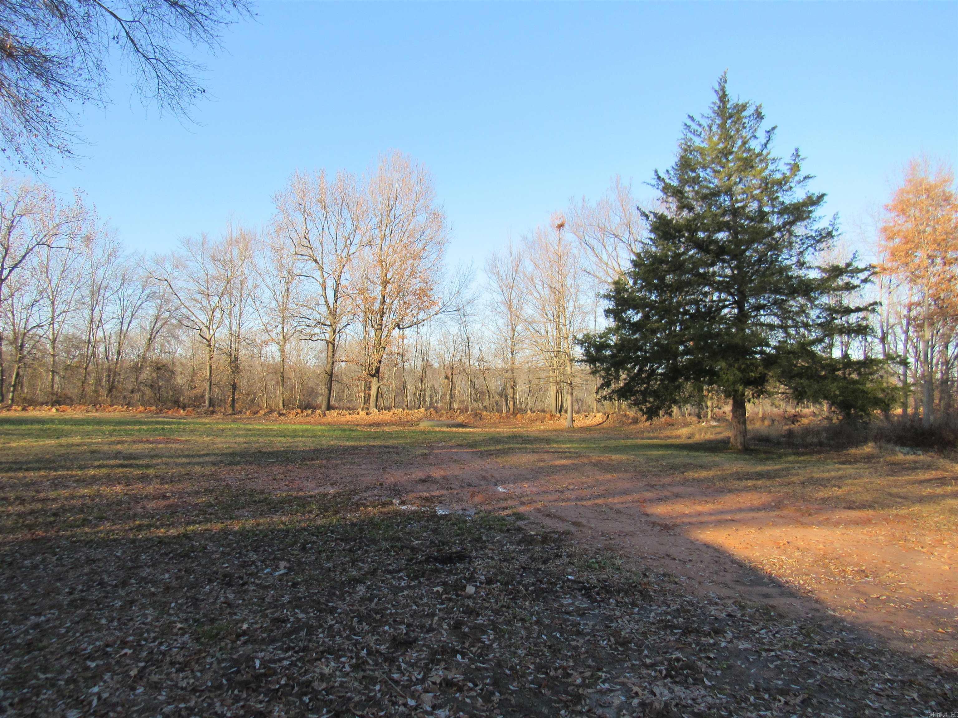 1368 Earl Verser Road