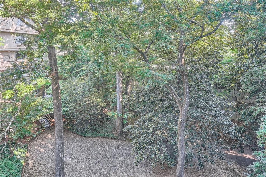 2637 Peachtree Road NE Unit 308