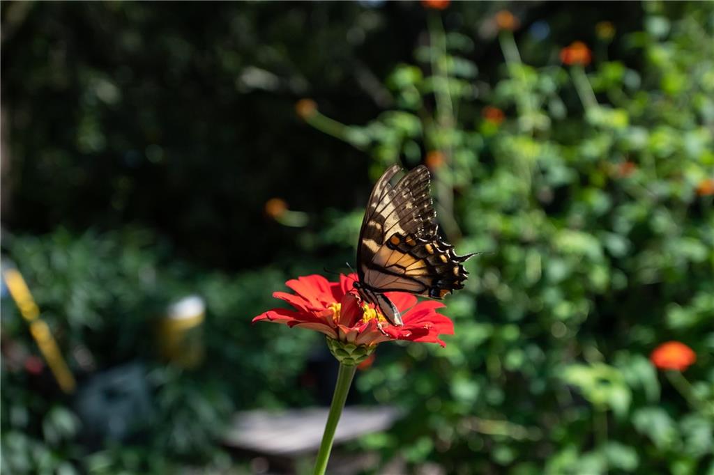 1154 Millennium Park Road