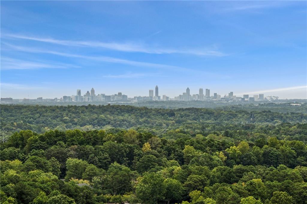 2700 Paces Ferry Road SE Unit 202