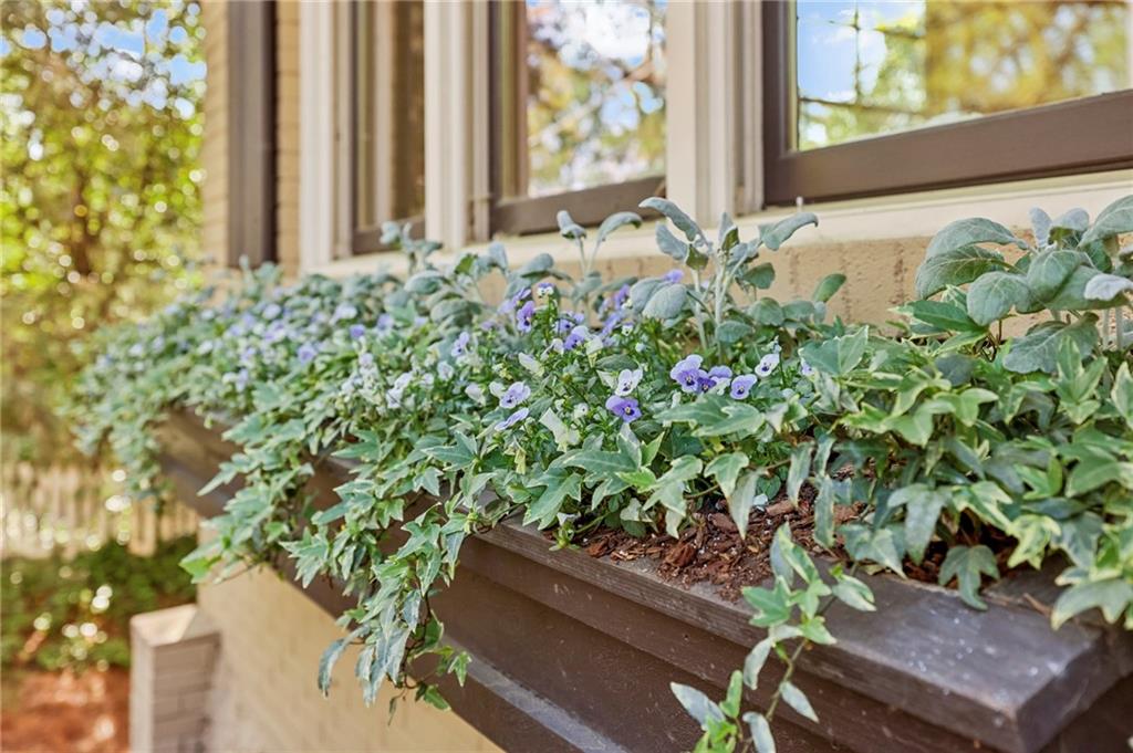 279 Lakeview Avenue NE