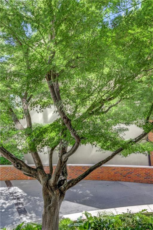 2626 Peachtree Road NW Unit 412