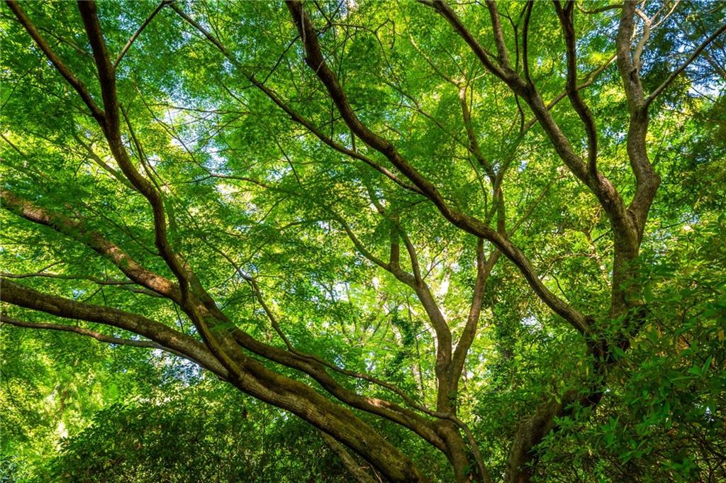 3 Powers Chase Circle