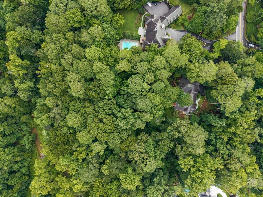 1037 Davis Drive
