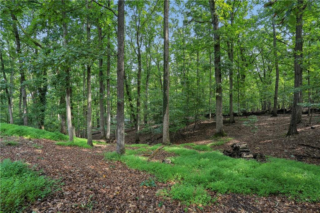 2063 Six Branches Drive