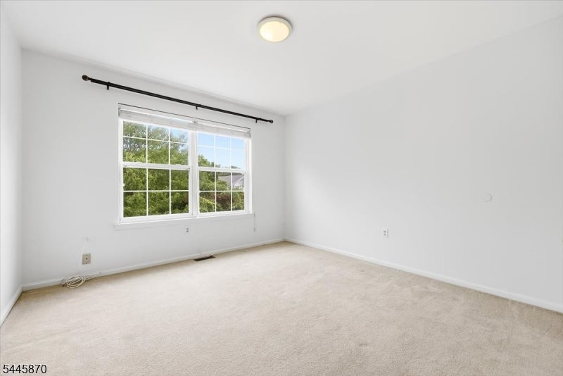 Empty carpeted bedroom with a large divided window overlooking trees.