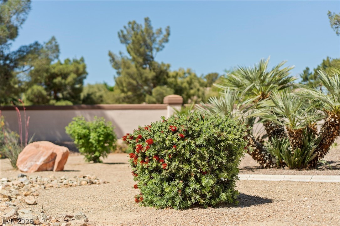 4941 Black Bear Road 204