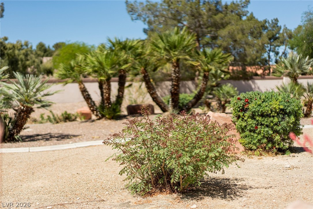 4941 Black Bear Road 204