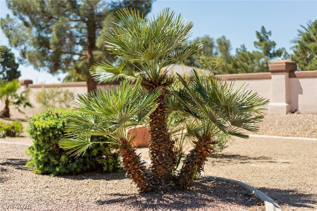 4941 Black Bear Road 204