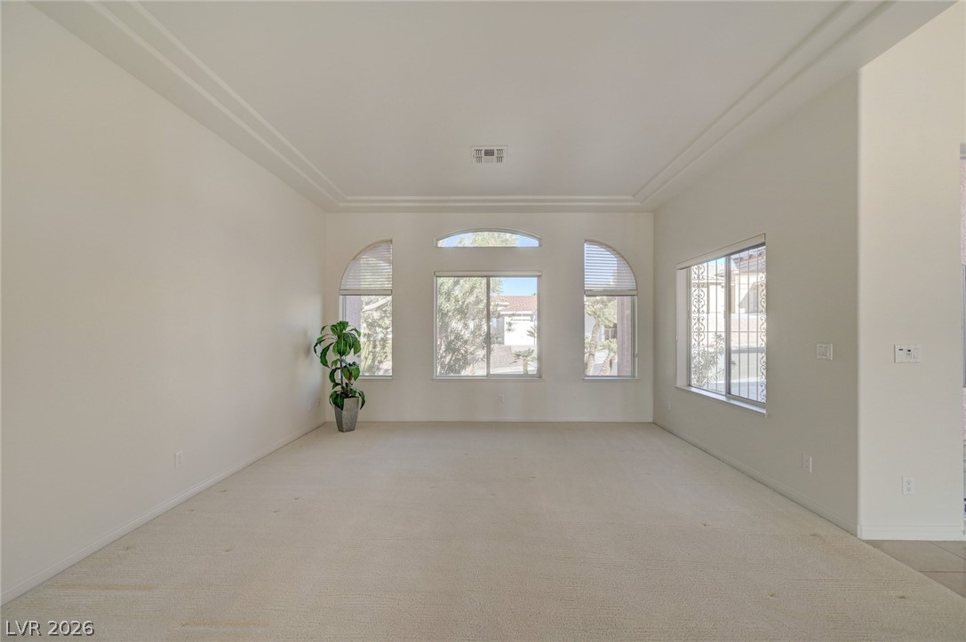Empty carpeted living room with a tray ceiling, large windows, and a potted plant.