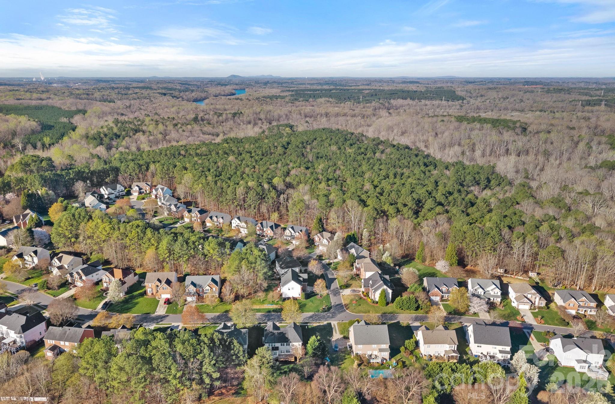 7736 Horseshoe Creek Drive