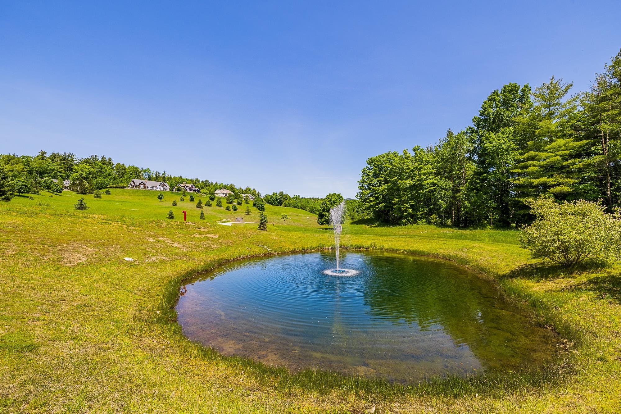 10 Partridge Hill Unit: Lot 10