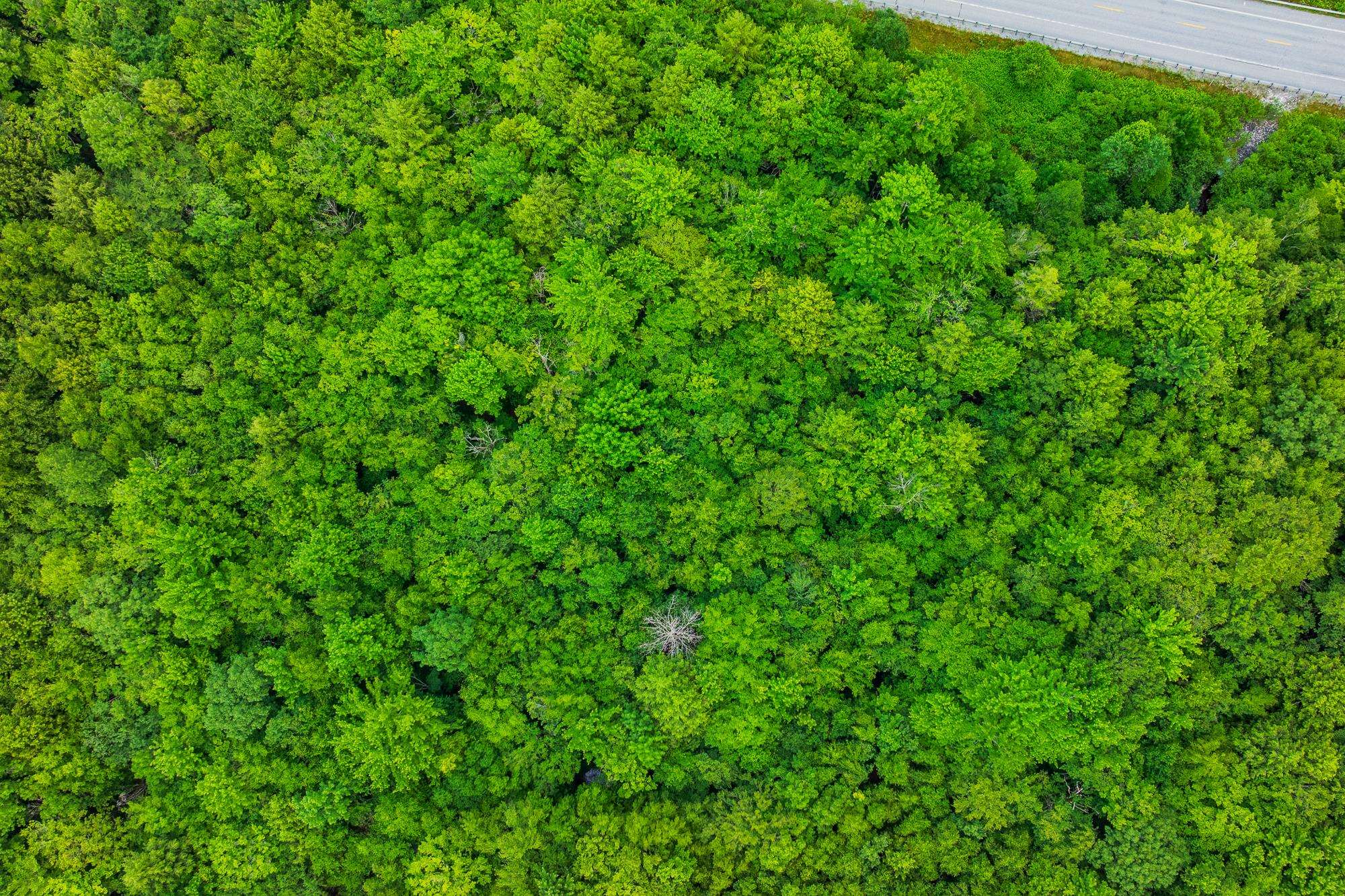 0 Alden Lane Unit: Land Lot #18