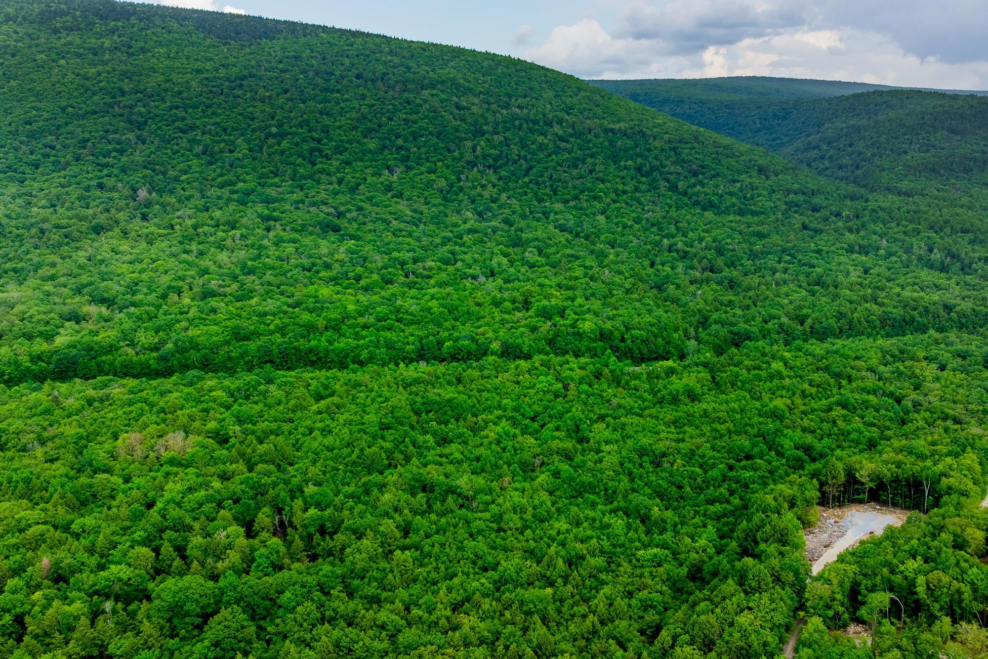 0 Alden Lane Unit: Land Lot #18