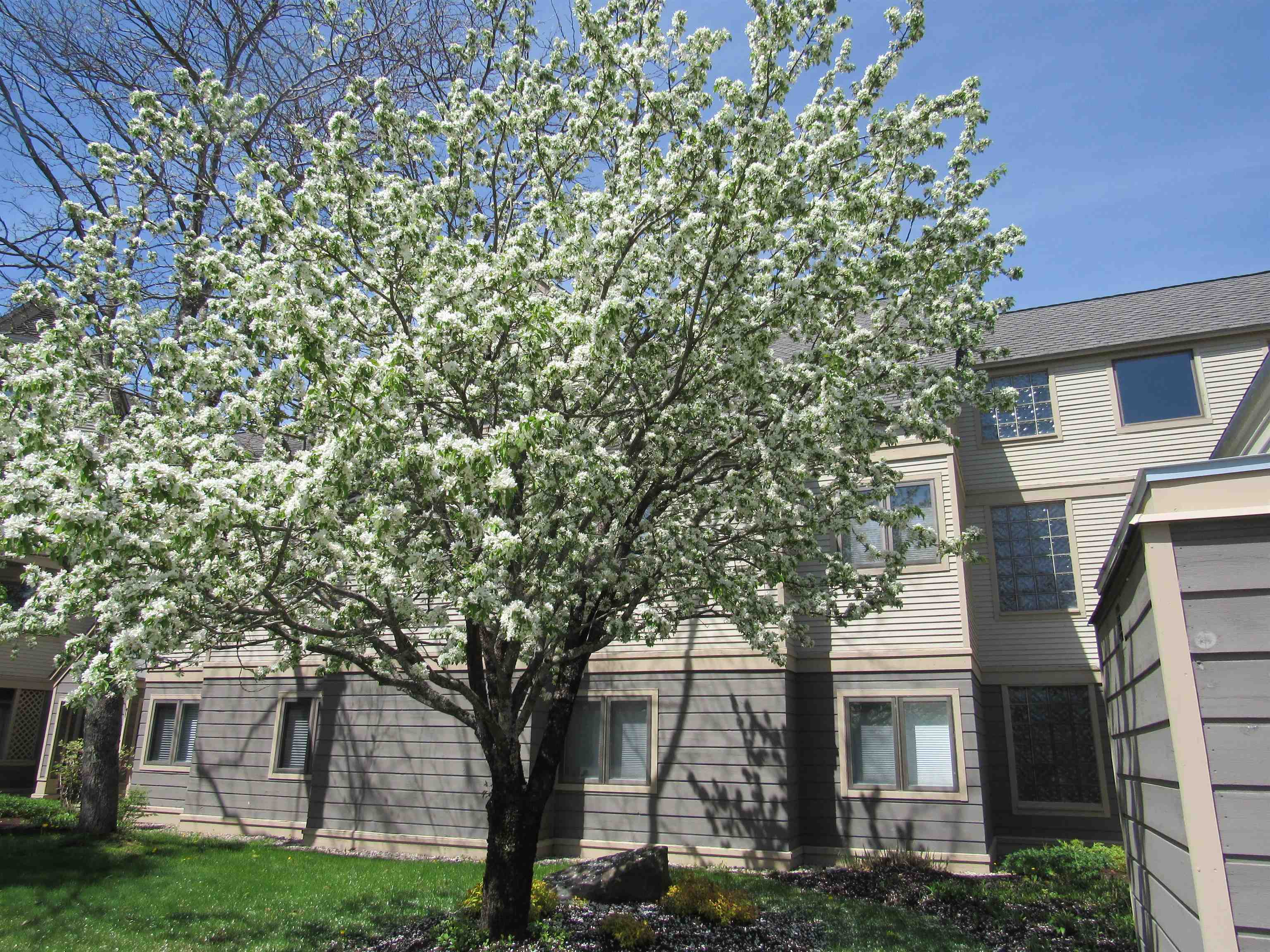 49 High Point Drive Unit: #A122