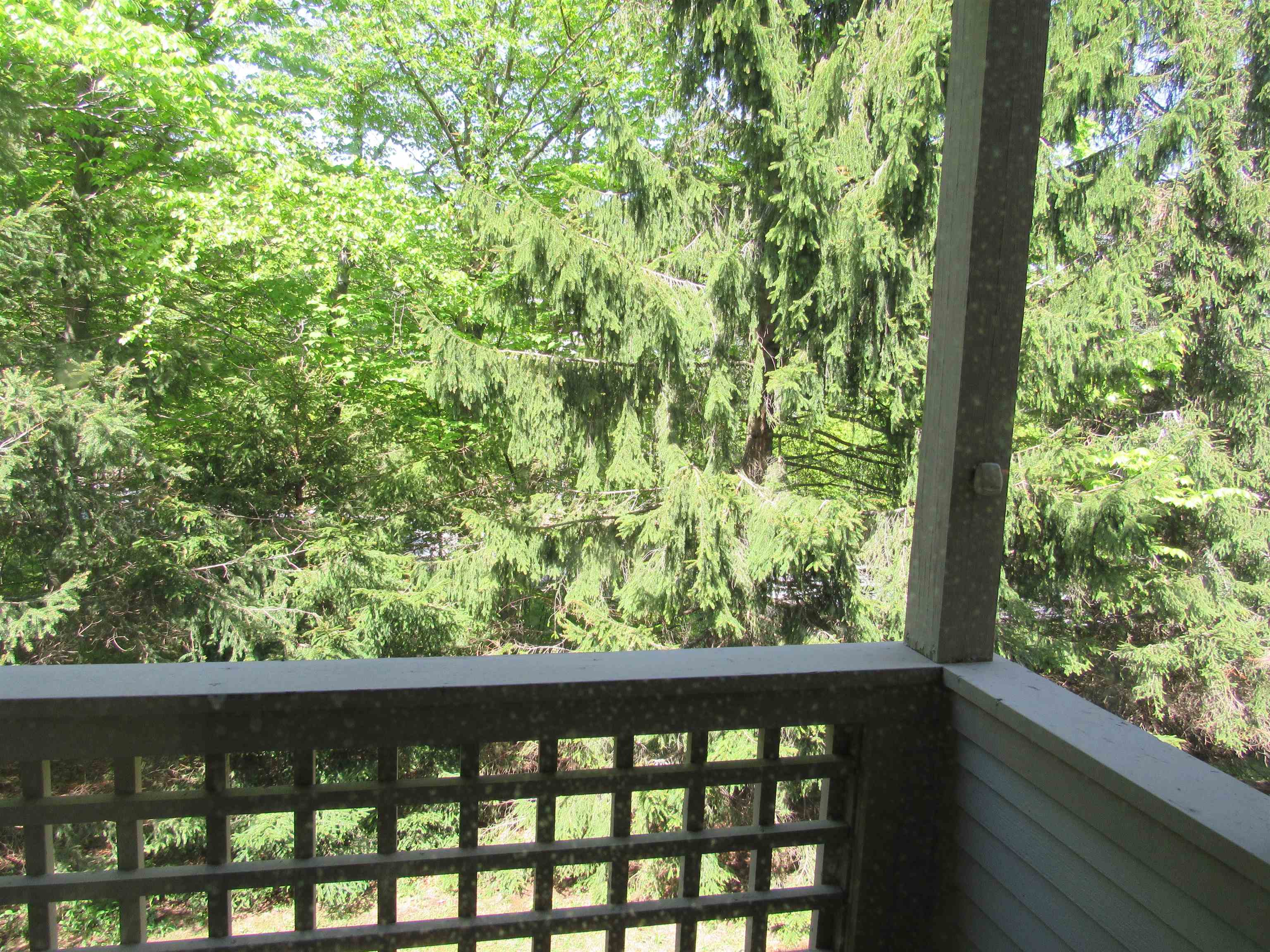 49 High Point Drive Unit: #A122