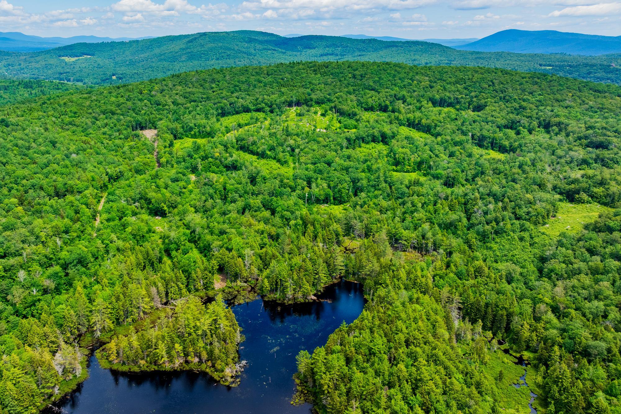 108 Acres of Pristine Land 2 Miles to Stratton