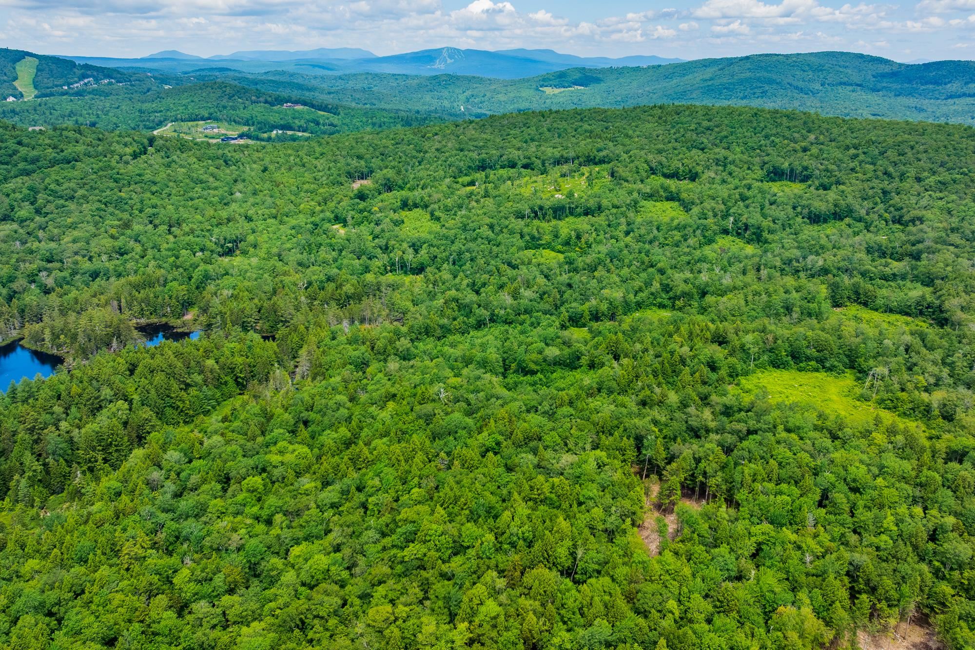 108 Acres of Pristine Land 2 Miles to Stratton